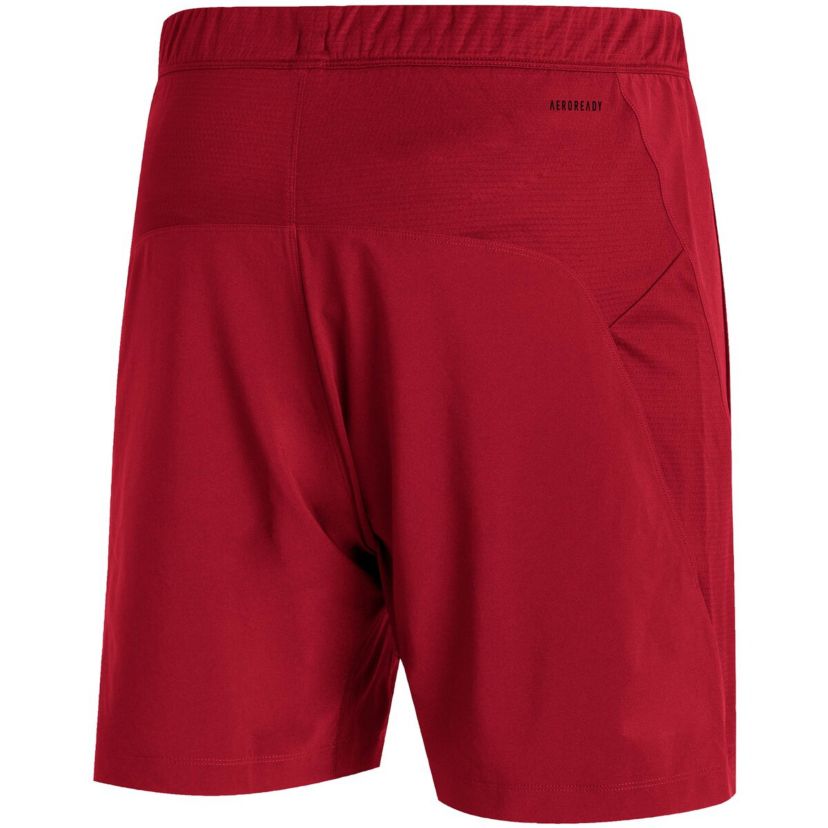 NCAA Nebraska Huskers 2021 Sideline AEROREADY Training Shorts