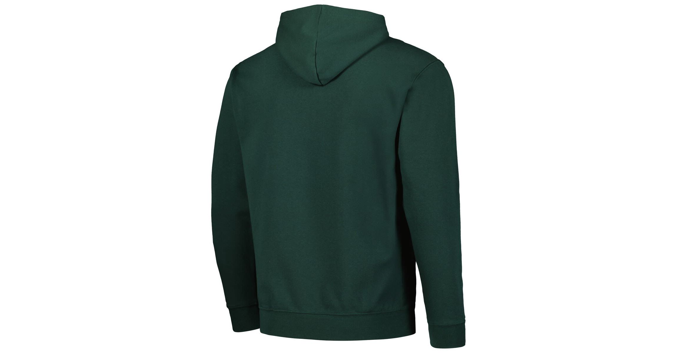NCAA Charlotte 49ers Arch and Logo Pullover Hoodie
