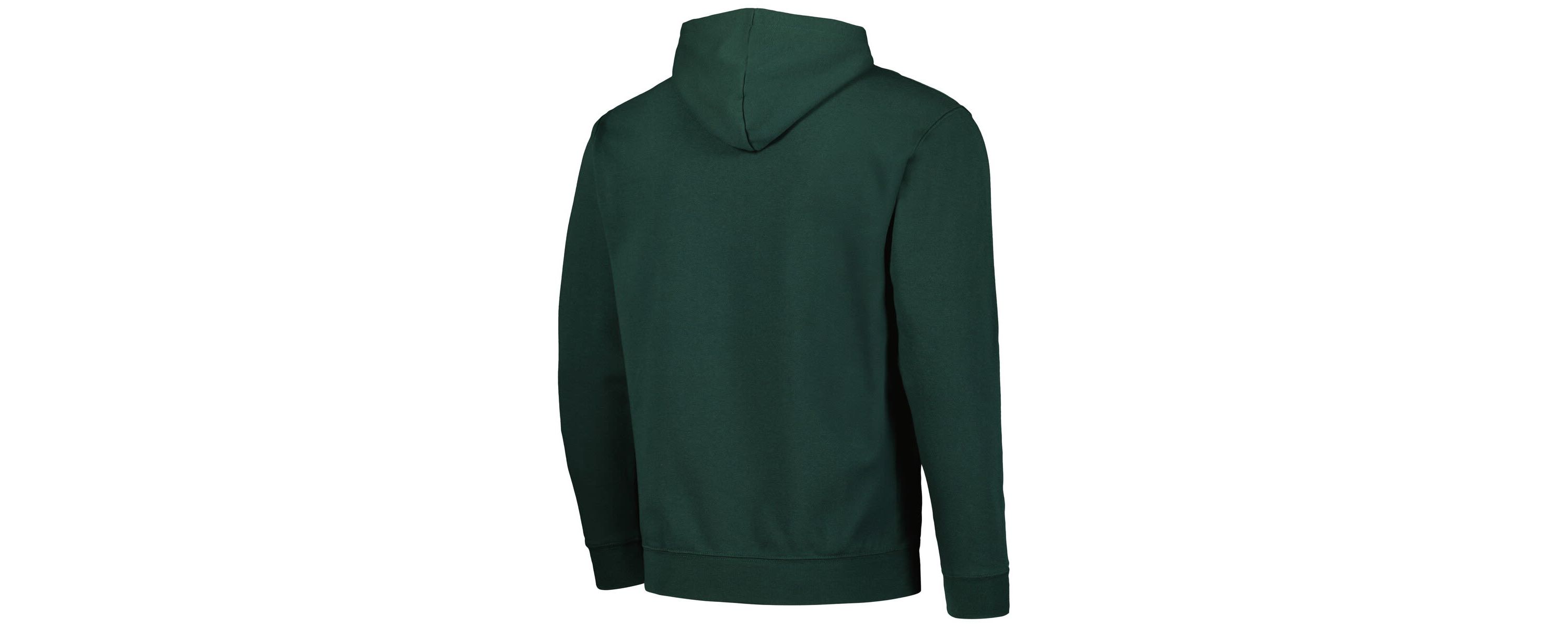 NCAA Charlotte 49ers Arch and Logo Pullover Hoodie