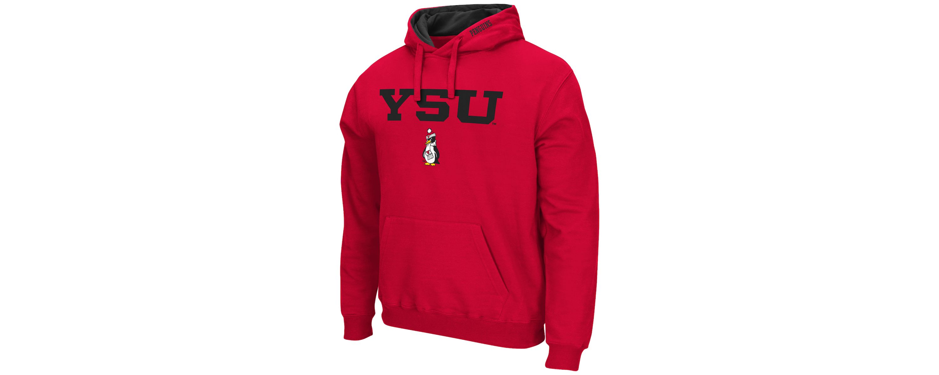 Youngstown St. Penguins NCAA Youngstown State Penguins Arch and Logo Pullover Hoodie