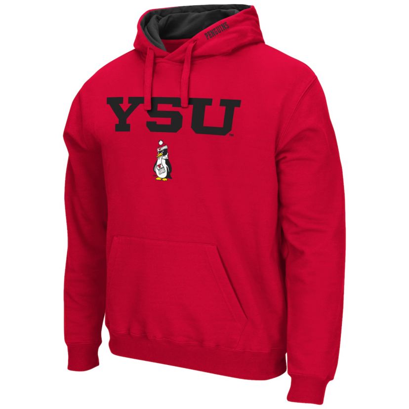 Youngstown St. Penguins NCAA Youngstown State Penguins Arch and Logo Pullover Hoodie