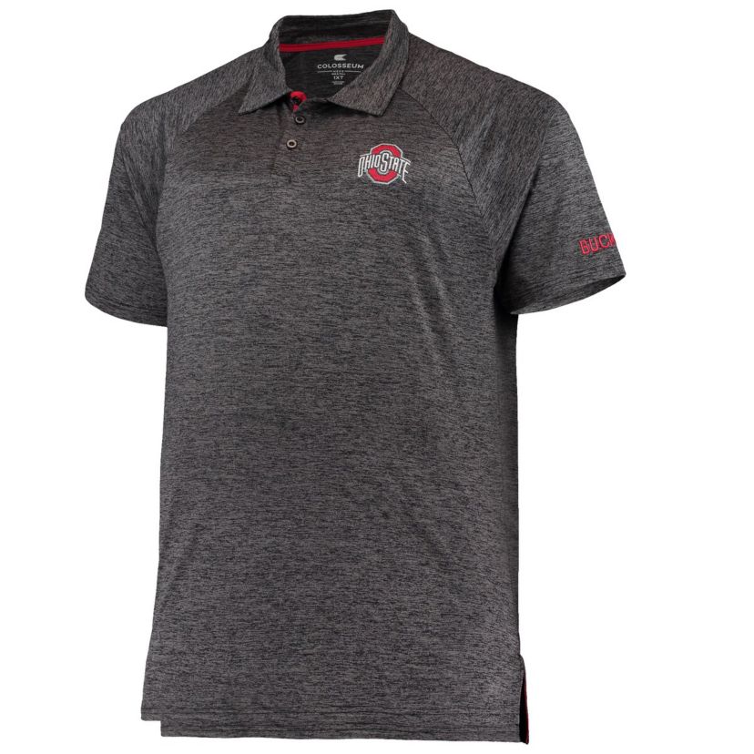 NCAA ed Ohio State Buckeyes Big & Tall Down Swing Polo
