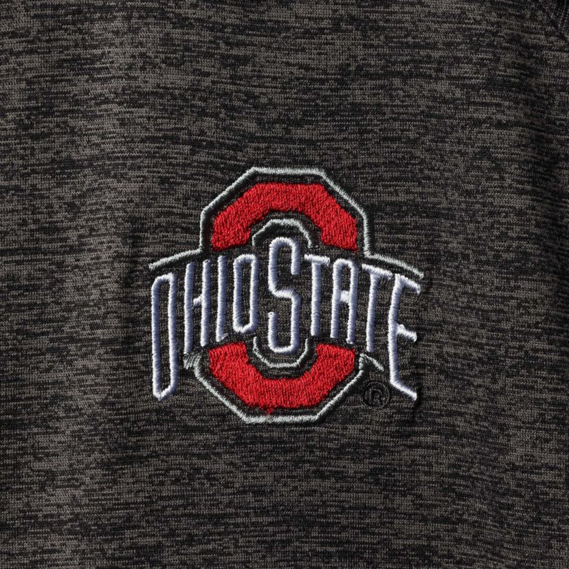 NCAA ed Ohio State Buckeyes Big & Tall Down Swing Polo