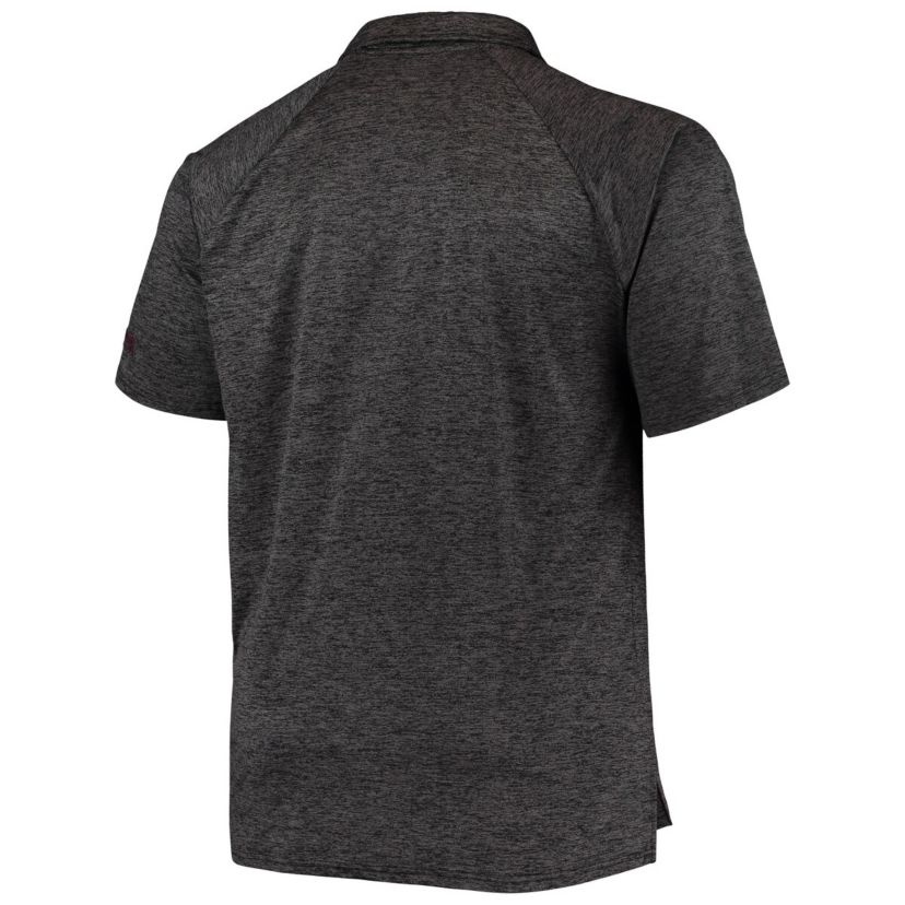 NCAA ed Ohio State Buckeyes Big & Tall Down Swing Polo