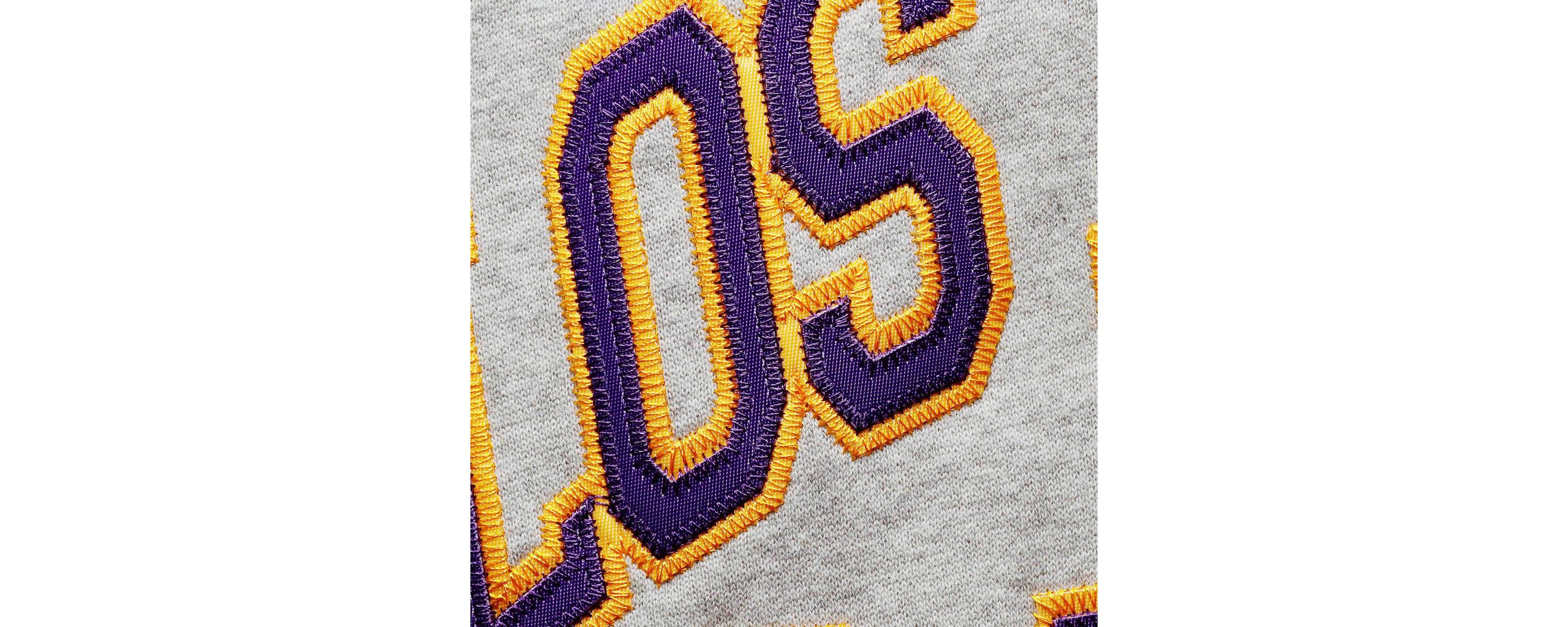 NBA ed Los Angeles Lakers Hardwood Classics Big & Tall Throwback Pullover Hoodie