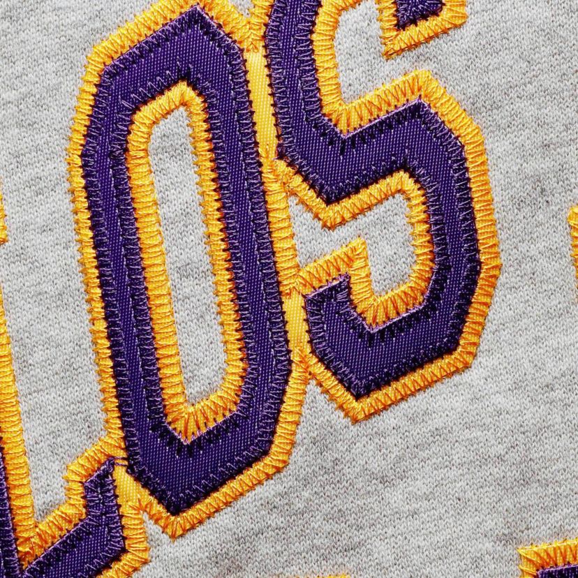 NBA ed Los Angeles Lakers Hardwood Classics Big & Tall Throwback Pullover Hoodie