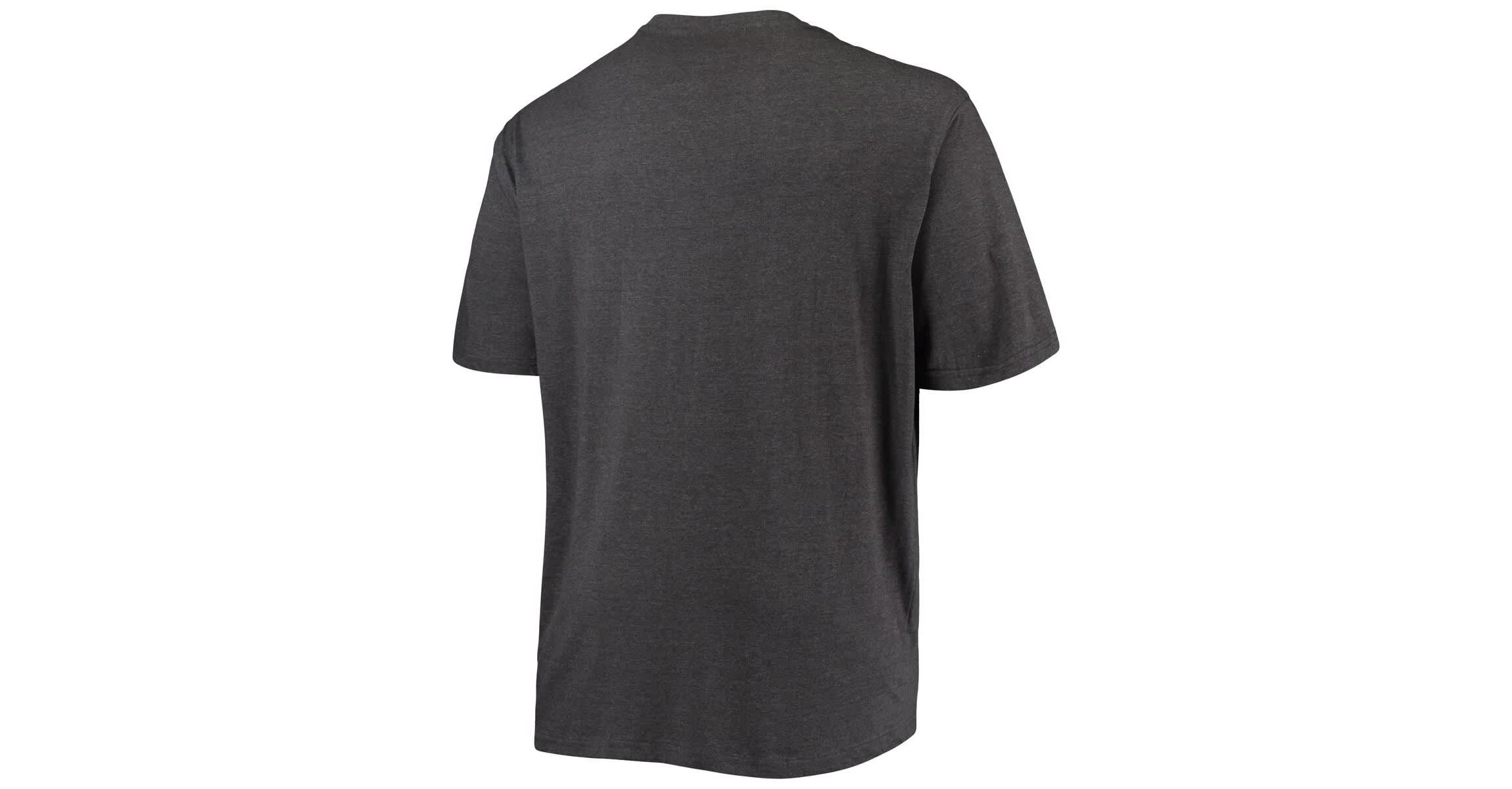 NCAA LSU Tigers Big & Tall Arch Over Wordmark T-Shirt