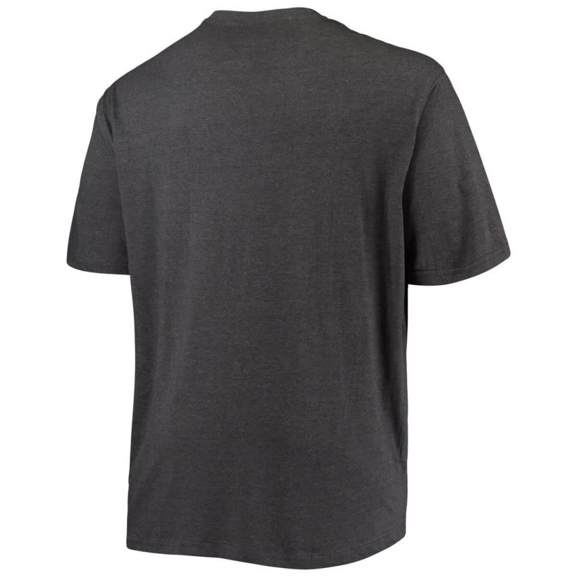 NCAA LSU Tigers Big & Tall Arch Over Wordmark T-Shirt