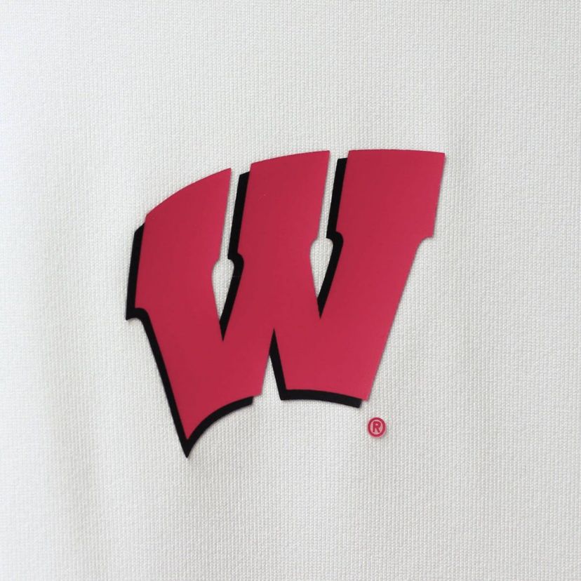 NCAA Under Armour Wisconsin Badgers 2022 Blocked Coaches Performance Polo