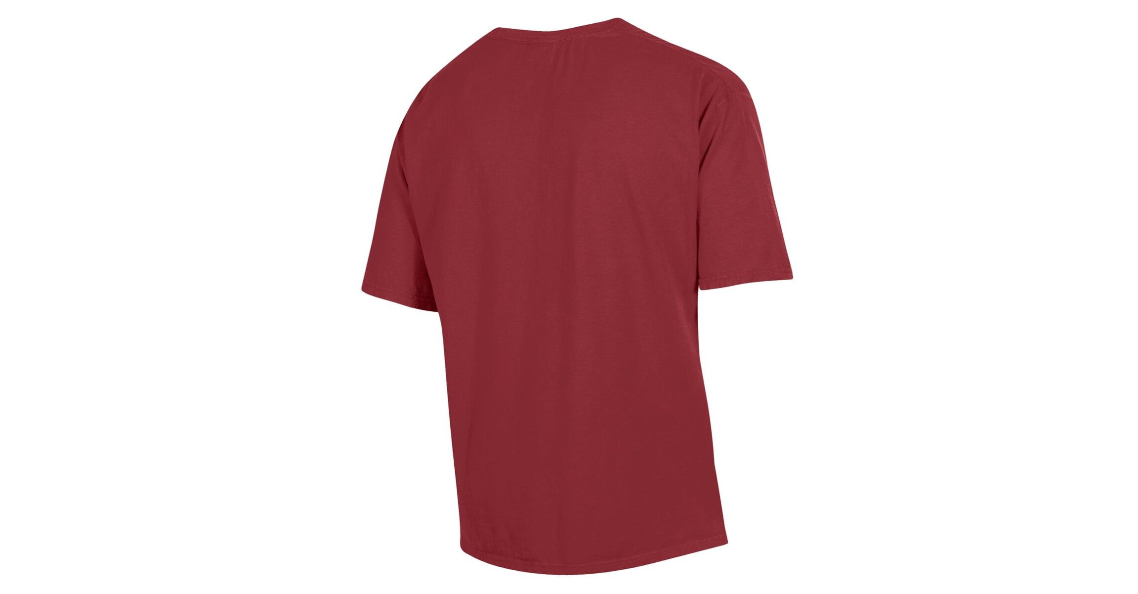 SC State Bulldogs NCAA South Carolina State Bulldogs Arch Logo Garment Dyed T-Shirt