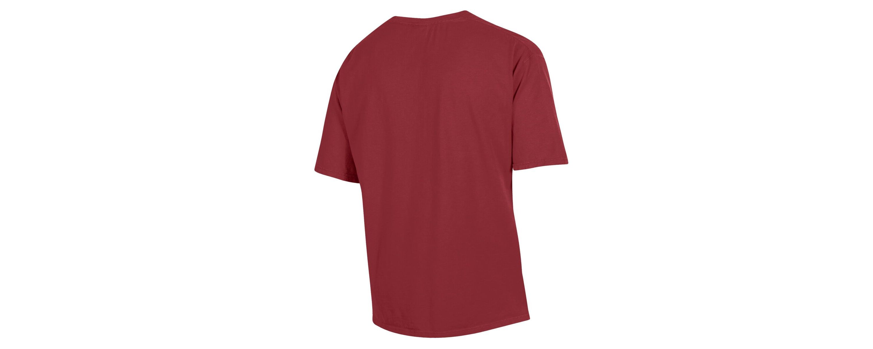 SC State Bulldogs NCAA South Carolina State Bulldogs Arch Logo Garment Dyed T-Shirt