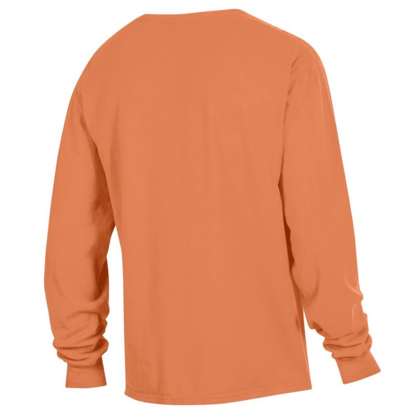 NCAA Virginia State Trojans Stack Garment Dyed Long Sleeve T-Shirt