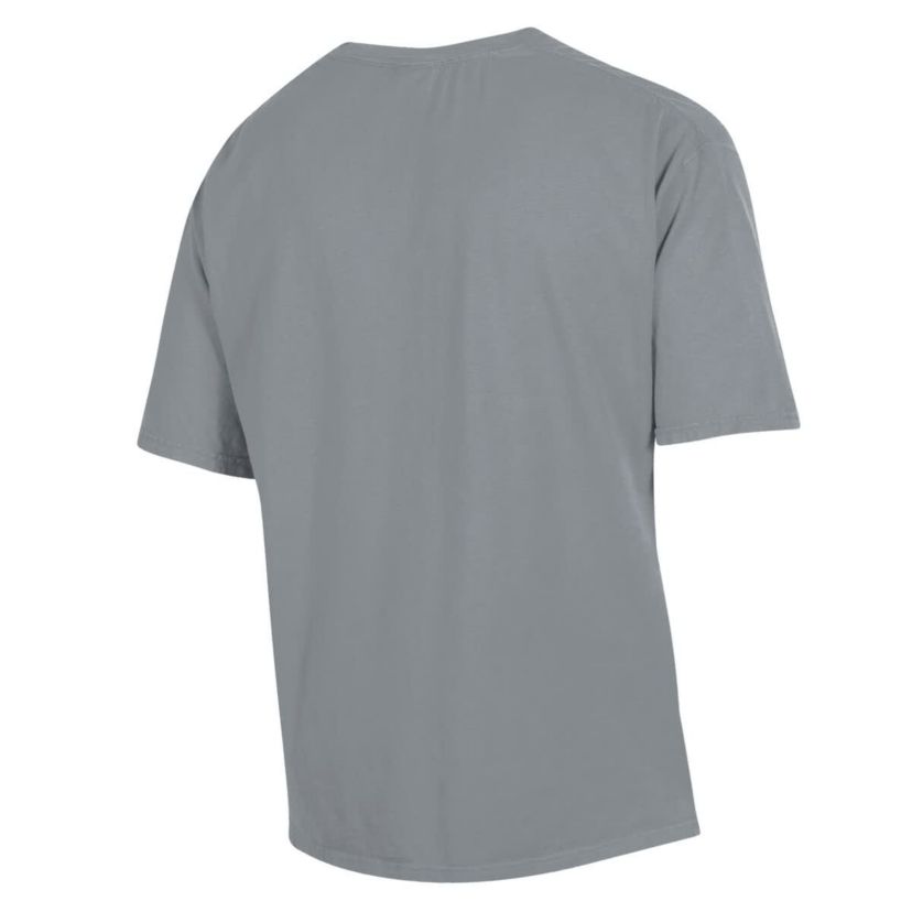 NCAA Arkansas Razorbacks Garment Dyed T-Shirt
