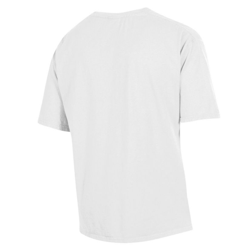 NCAA Arkansas Razorbacks Garment Dyed T-Shirt