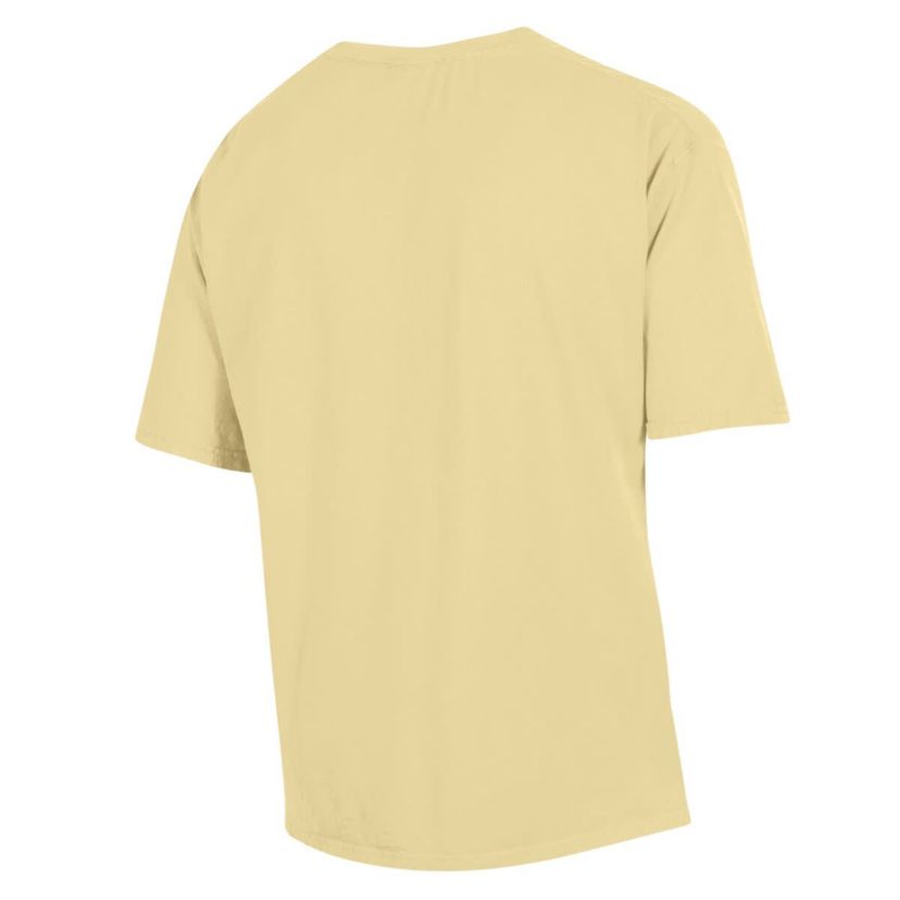 NC A&T Aggies NCAA North Carolina A&T Aggies Garment Dyed T-Shirt