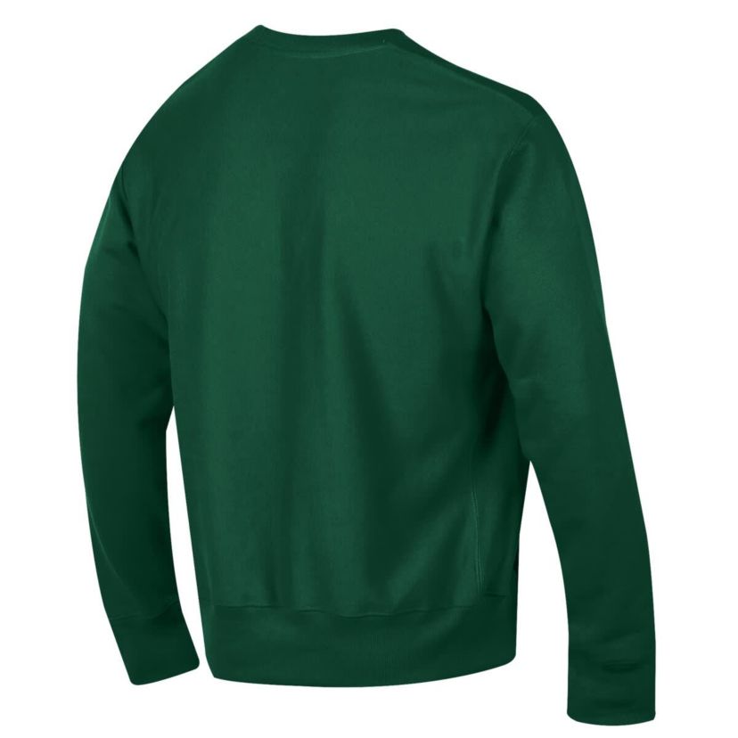 NCAA Florida A&M Rattlers Reverse Weave Fleece Crewneck Sweatshirt