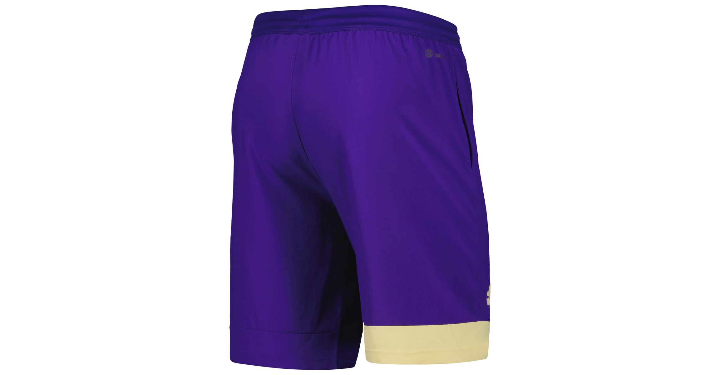 NCAA Washington Huskies Training Shorts