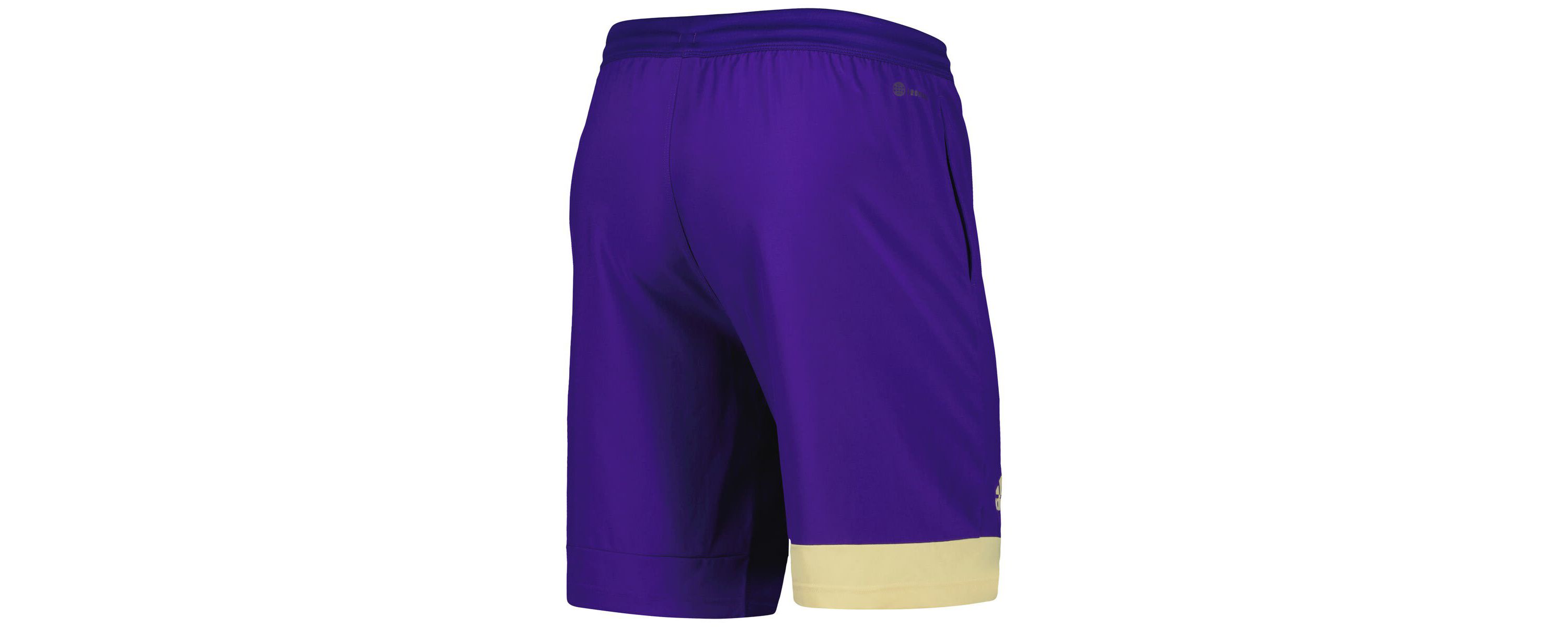 NCAA Washington Huskies Training Shorts