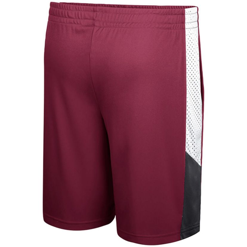 NCAA Florida State Seminoles Very Thorough Shorts