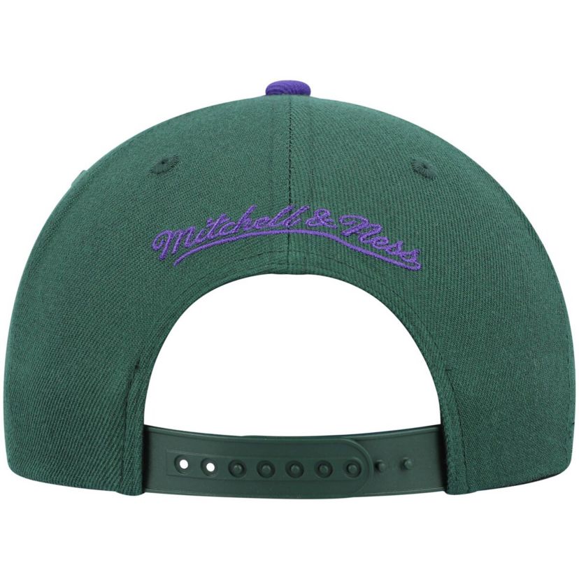 NBA Green/Purple Milwaukee Bucks Hardwood Classics Team Two-Tone 2.0 Snapback Hat