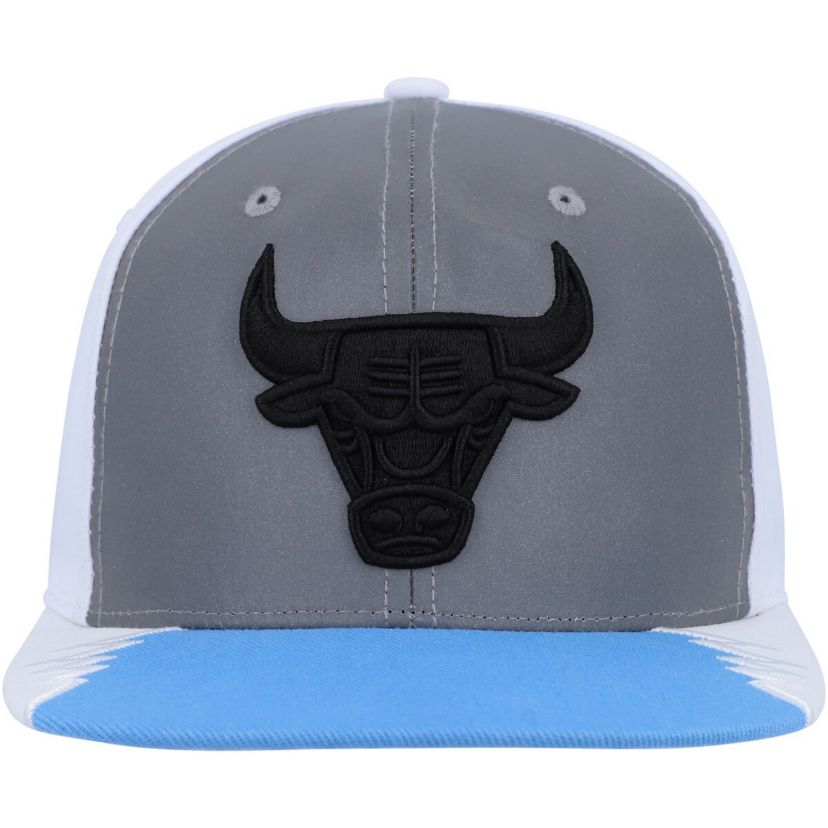 NBA Silver/Blue Chicago Bulls Day 5 Snapback Hat