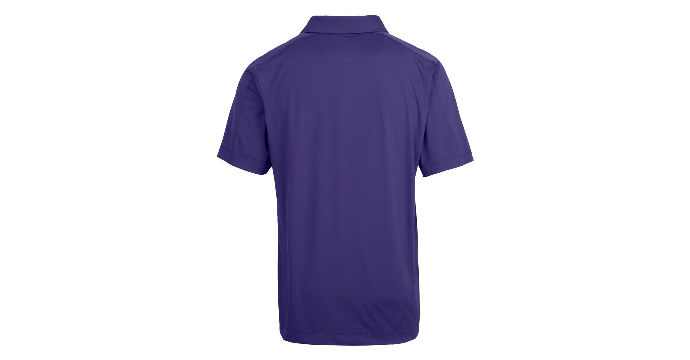 NCAA TCU Horned Frogs Big & Tall Prospect Textured Stretch Polo