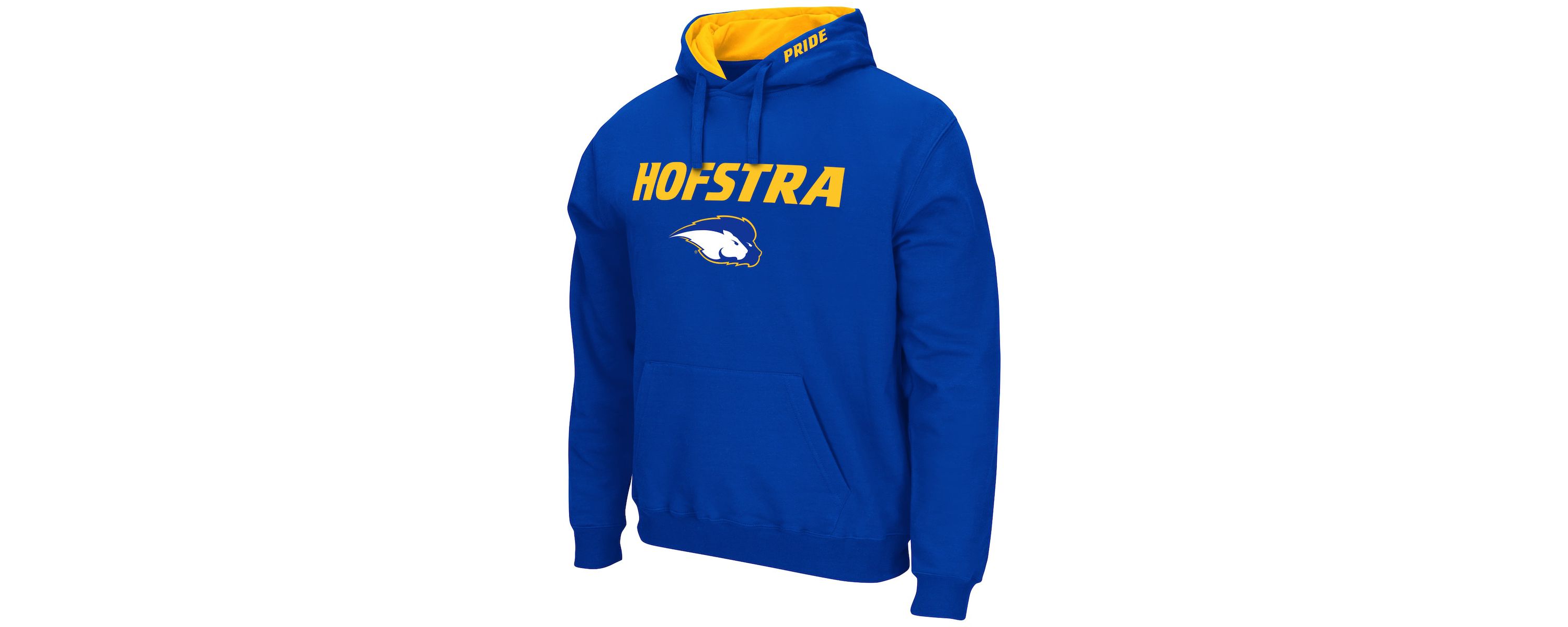 NCAA Hofstra University Pride Arch & Logo 3.0 Pullover Hoodie