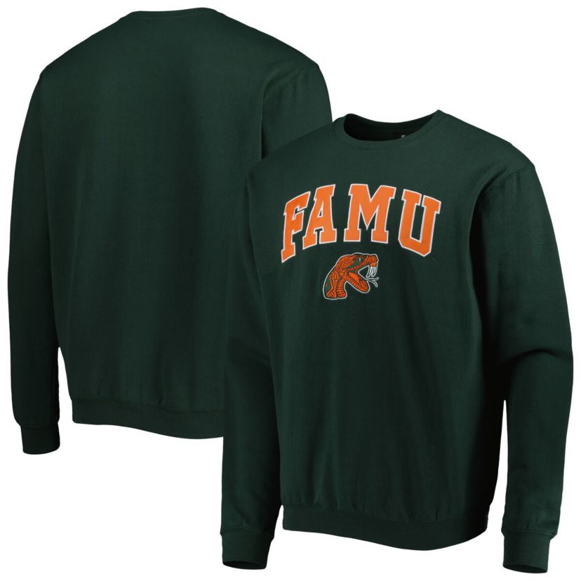 NCAA Florida A&M Rattlers Arch Over Logo Pullover Sweatshirt