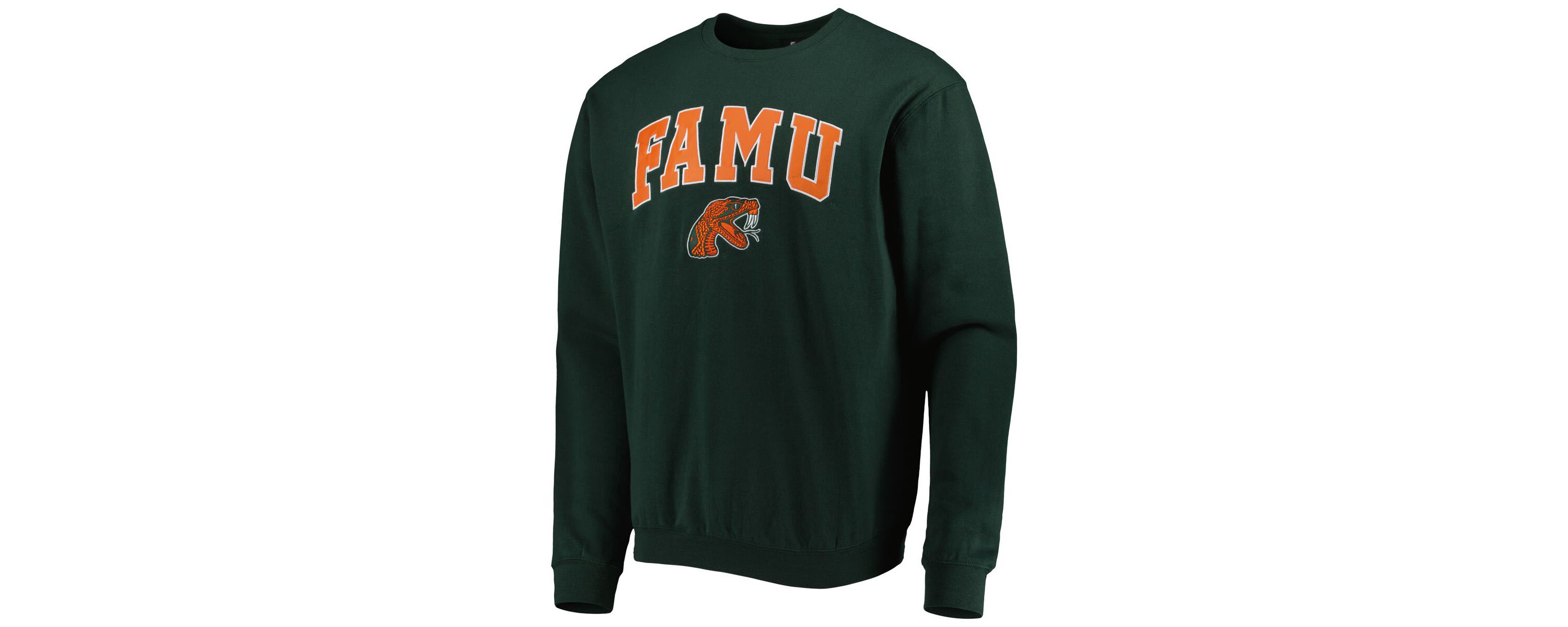 NCAA Florida A&M Rattlers Arch Over Logo Pullover Sweatshirt