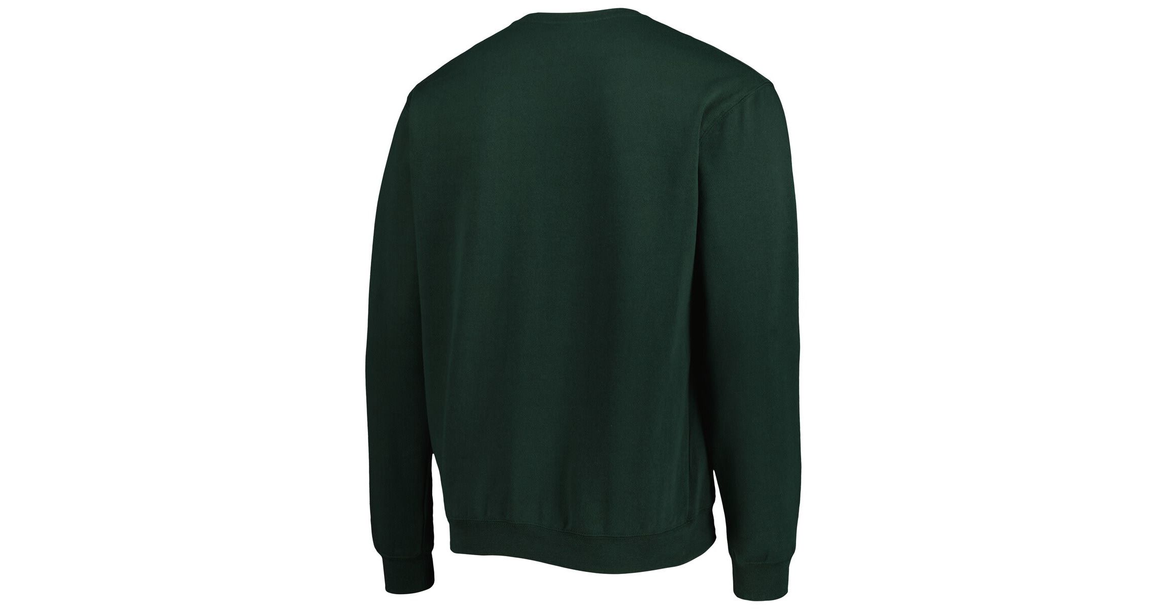 NCAA Florida A&M Rattlers Arch Over Logo Pullover Sweatshirt