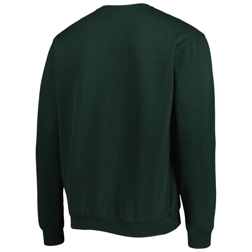 NCAA Florida A&M Rattlers Arch Over Logo Pullover Sweatshirt