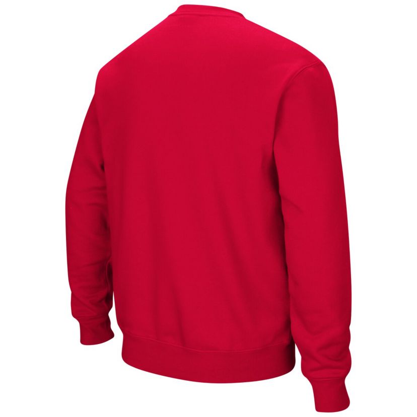 NCAA Worcester Polytechnic Institute Engineers Arch Over Logo Pullover Sweatshirt