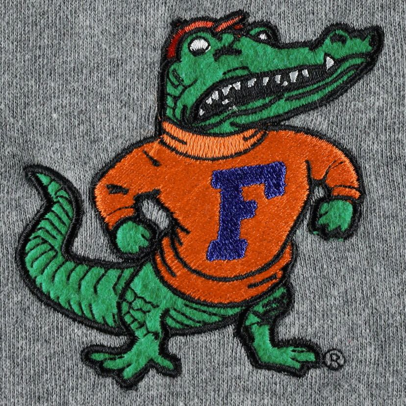 NCAA ed Florida Gators Wordmark Short Sleeve Pullover Hoodie