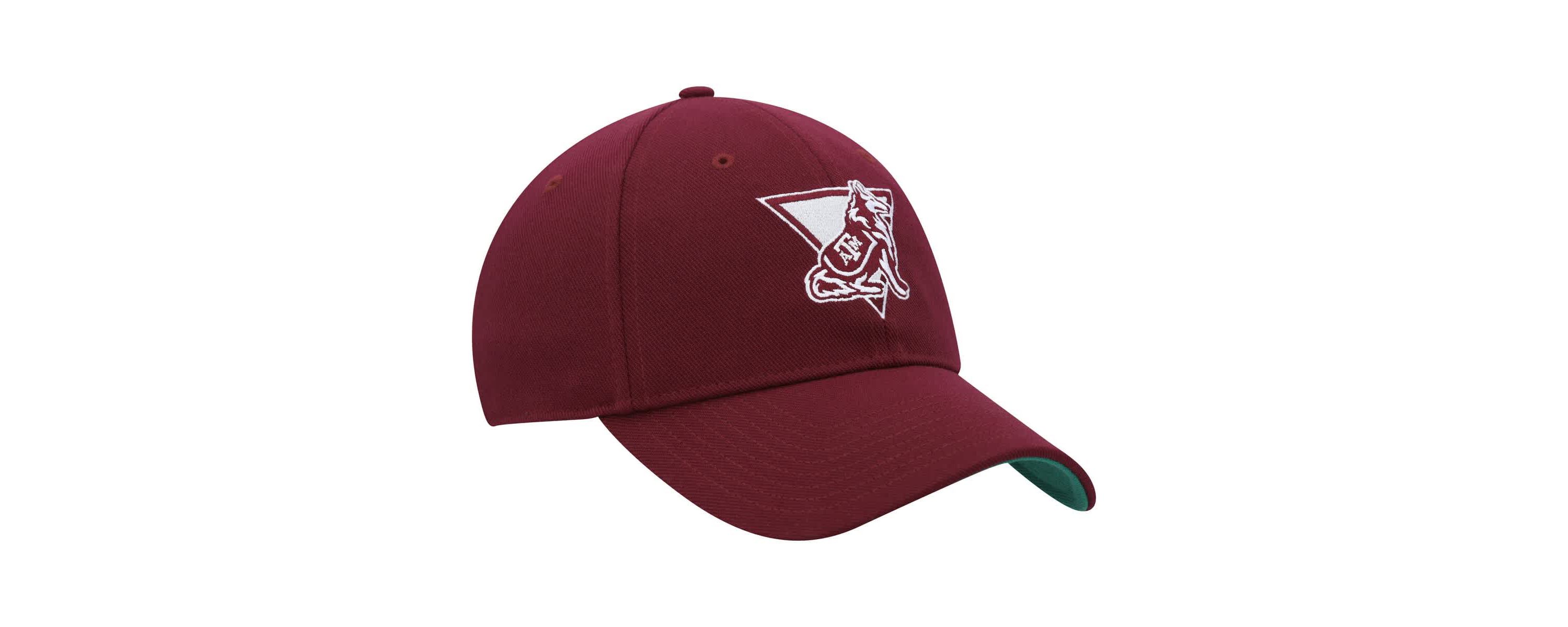 NCAA Texas A&M Aggies Vault Slouch Flex Hat