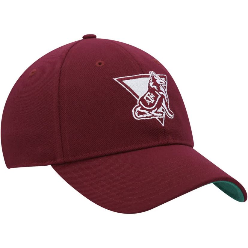 NCAA Texas A&M Aggies Vault Slouch Flex Hat