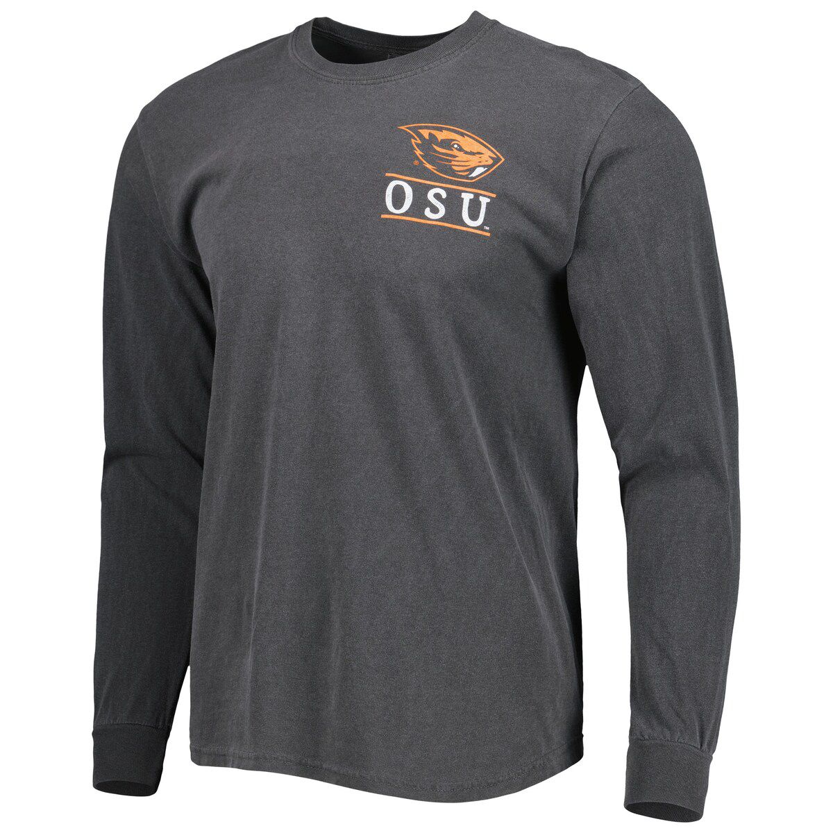 NCAA Oregon State Beavers Circle Campus Scene Long Sleeve T-Shirt