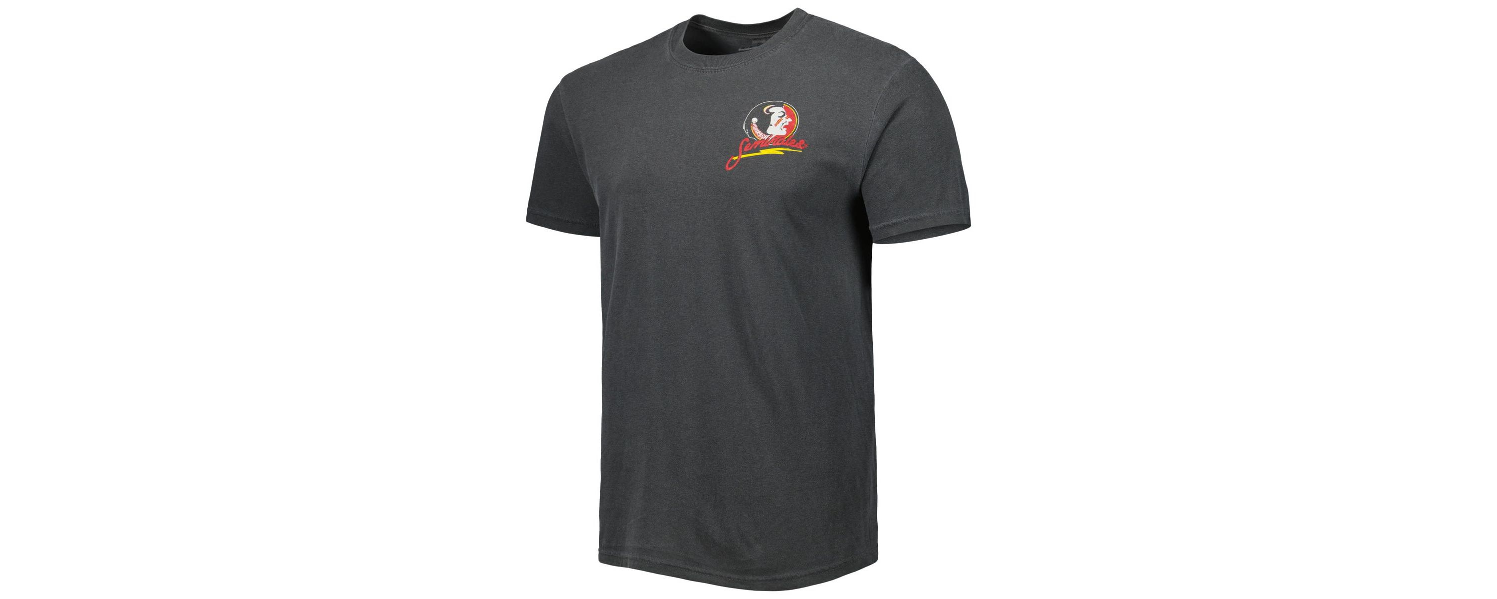 NCAA Florida State Seminoles Vault Stadium T-Shirt