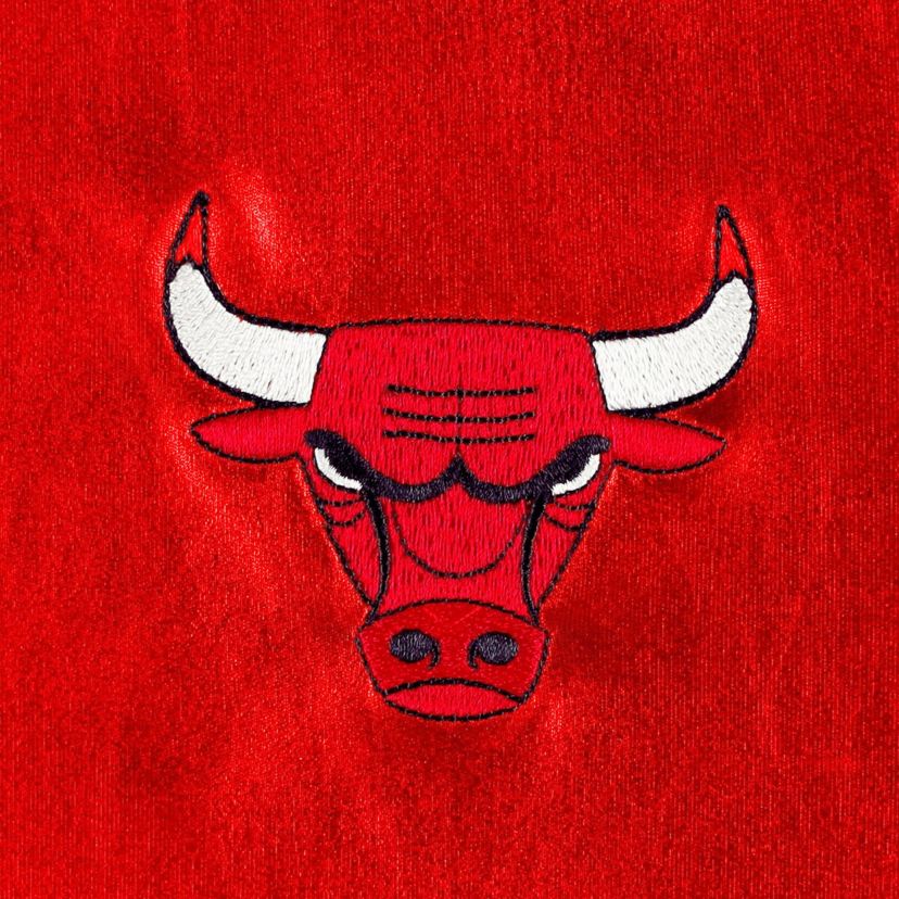 NBA Unisex Chicago Bulls Metallic Full-Snap Bomber Jacket