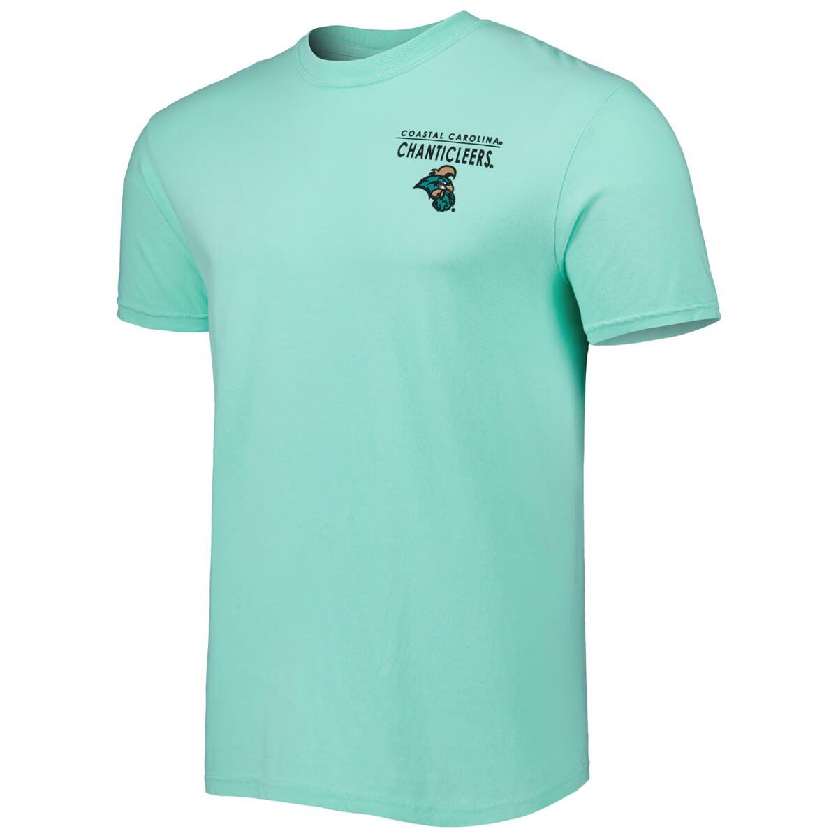 NCAA Coastal Carolina Chanticleers Landscape Shield T-Shirt