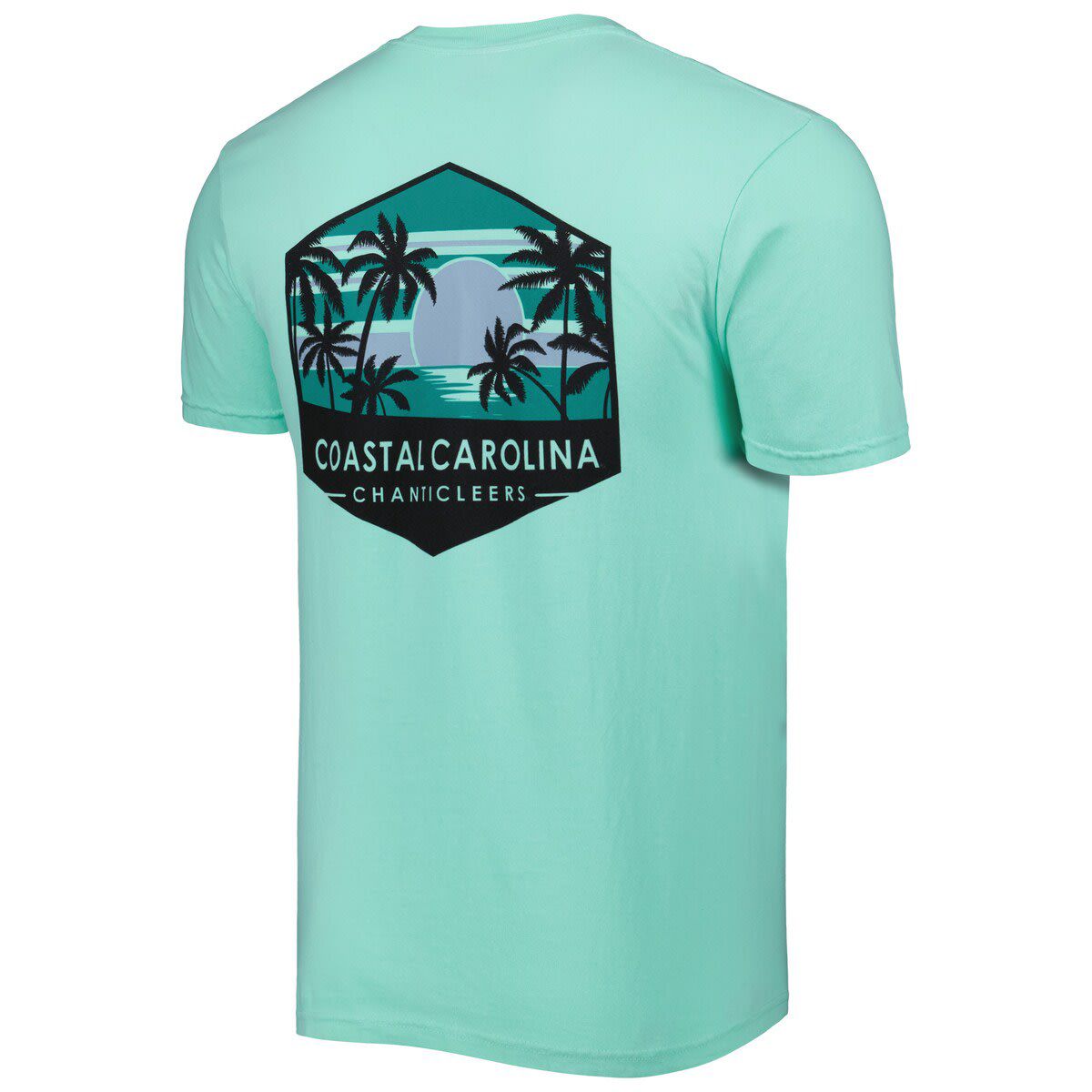 NCAA Coastal Carolina Chanticleers Landscape Shield T-Shirt