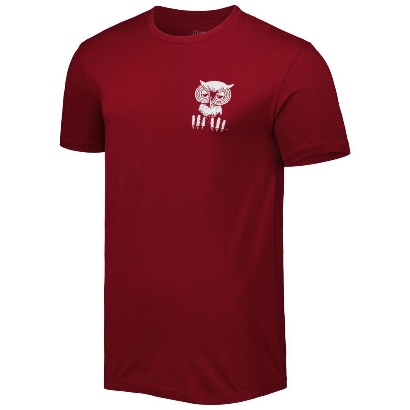 NCAA Cherry Temple Owls Mascot Scenery Premium T-Shirt