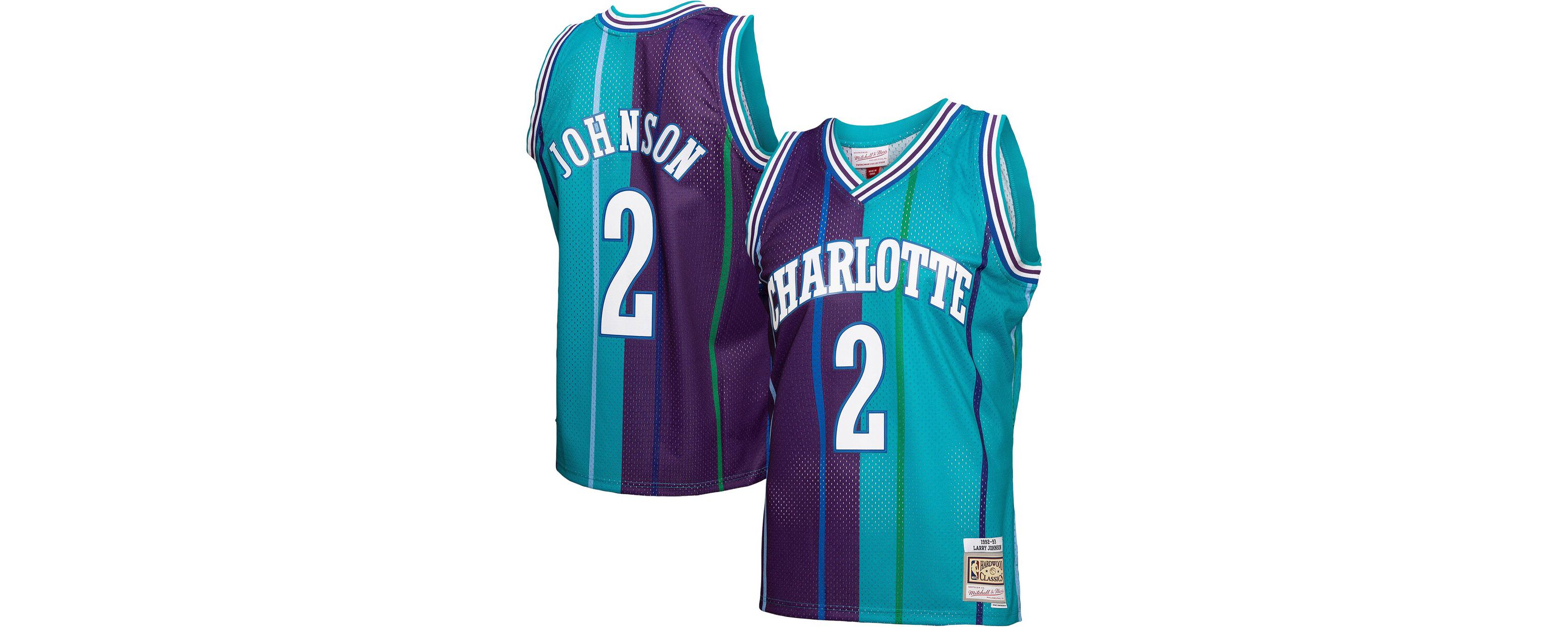 NBA Larry Johnson Teal/Purple Charlotte Hornets Hardwood Classics 1992/93 Split Swingman Jersey