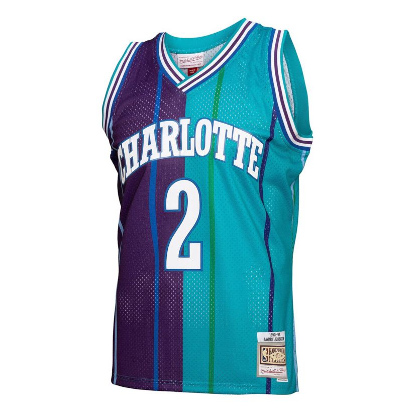 NBA Larry Johnson Teal/Purple Charlotte Hornets Hardwood Classics 1992/93 Split Swingman Jersey