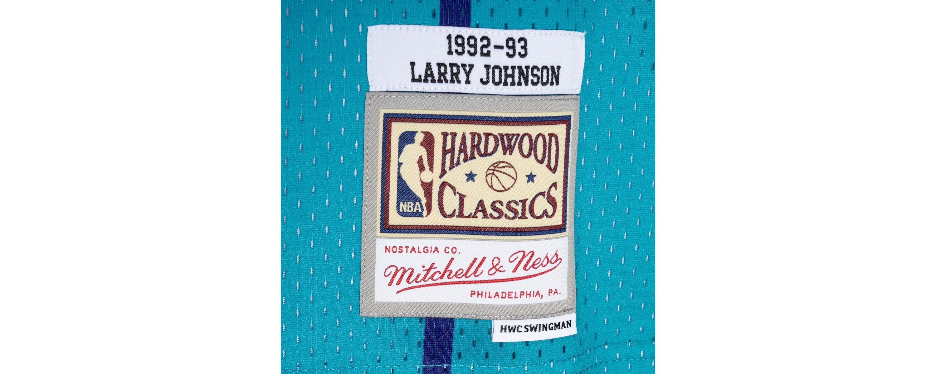 NBA Larry Johnson Teal/Purple Charlotte Hornets Hardwood Classics 1992/93 Split Swingman Jersey