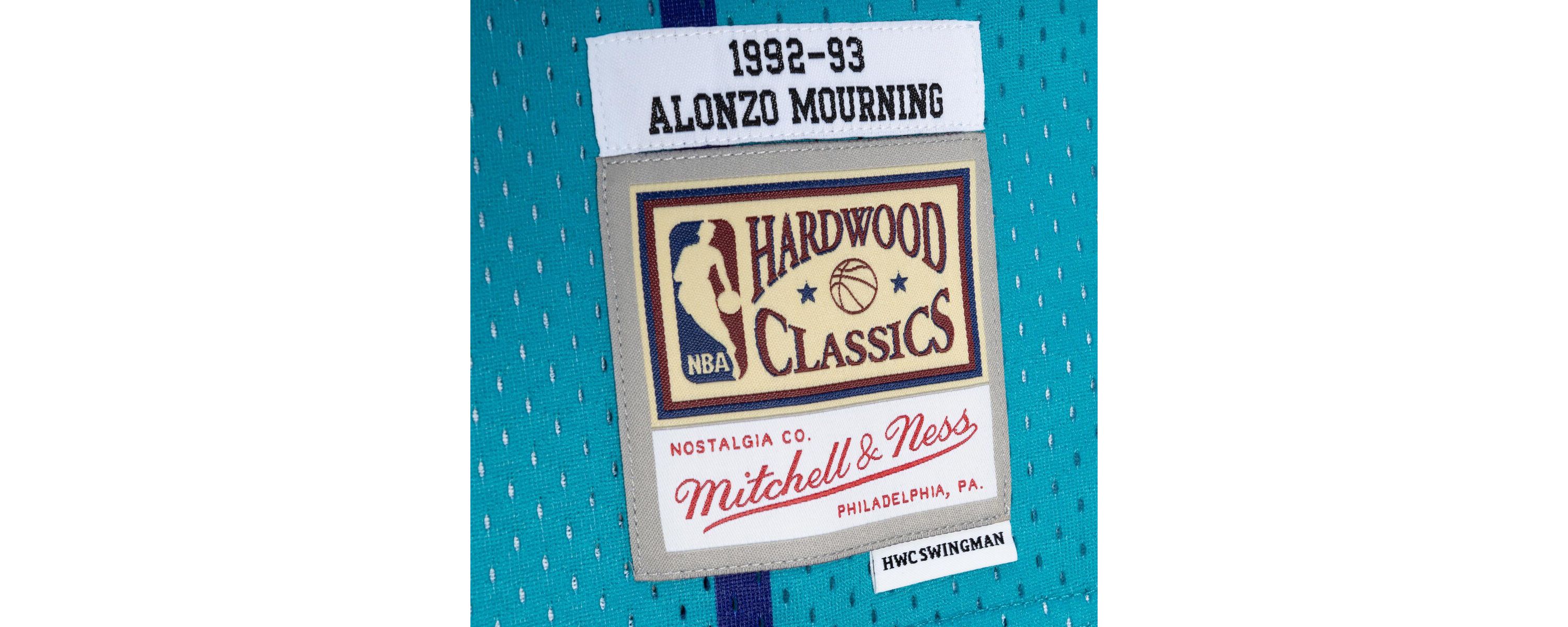 NBA Alonzo Mourning Teal/Purple Charlotte Hornets Hardwood Classics 1992/93 Split Swingman Jersey