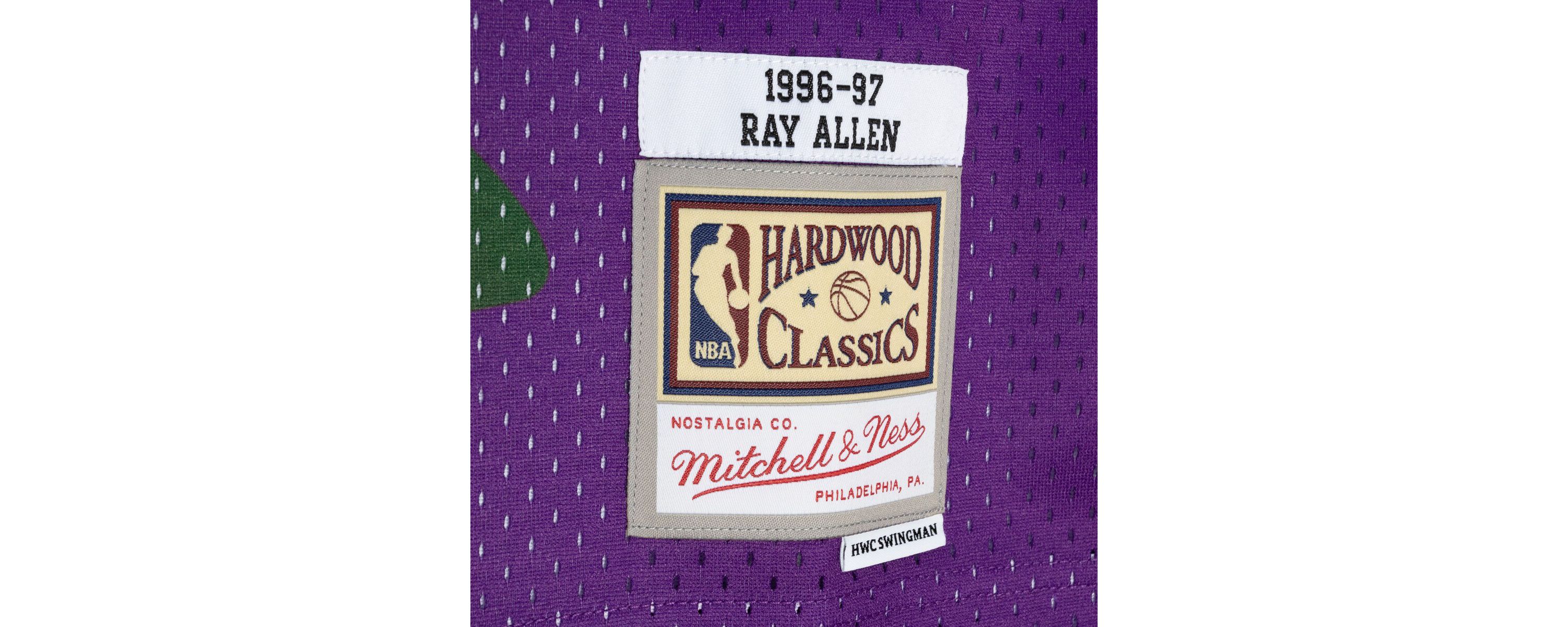 NBA Ray Allen Green/Purple Milwaukee Bucks Hardwood Classics 1996/97 Split Swingman Jersey