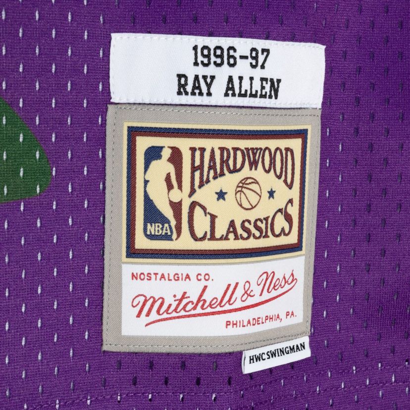 NBA Ray Allen Green/Purple Milwaukee Bucks Hardwood Classics 1996/97 Split Swingman Jersey