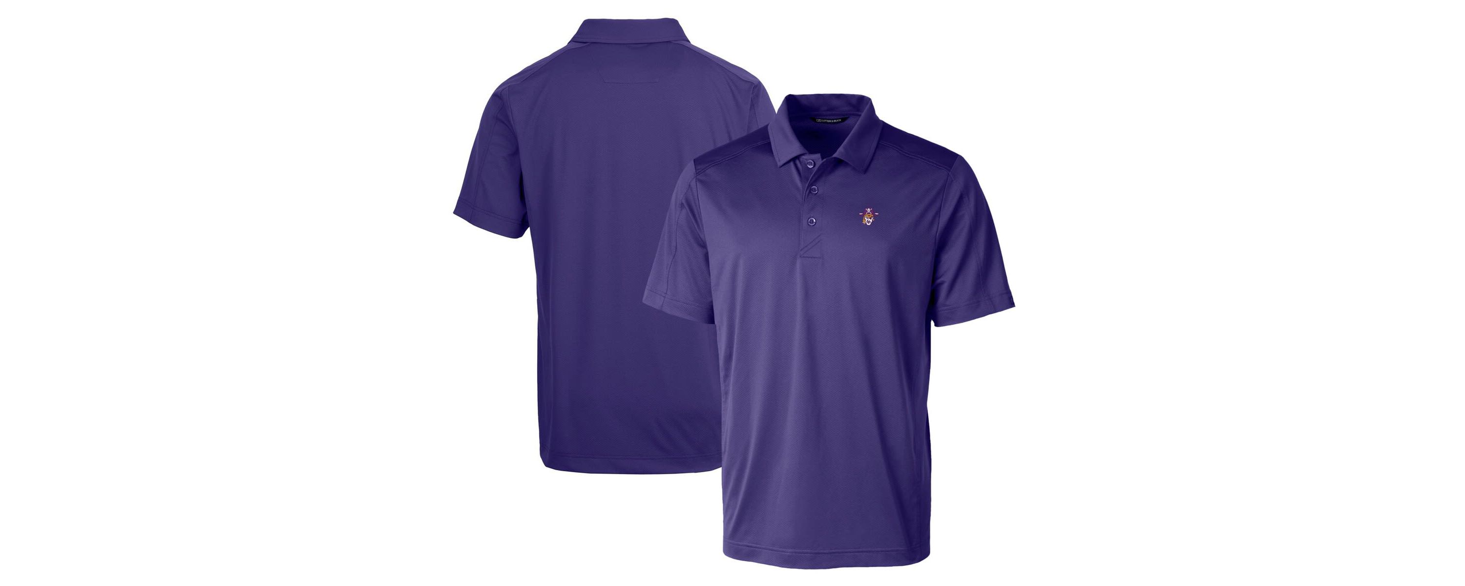 East Carolina Pirates NCAA ECU Pirates Team Logo Big & Tall Prospect Textured Stretch Polo