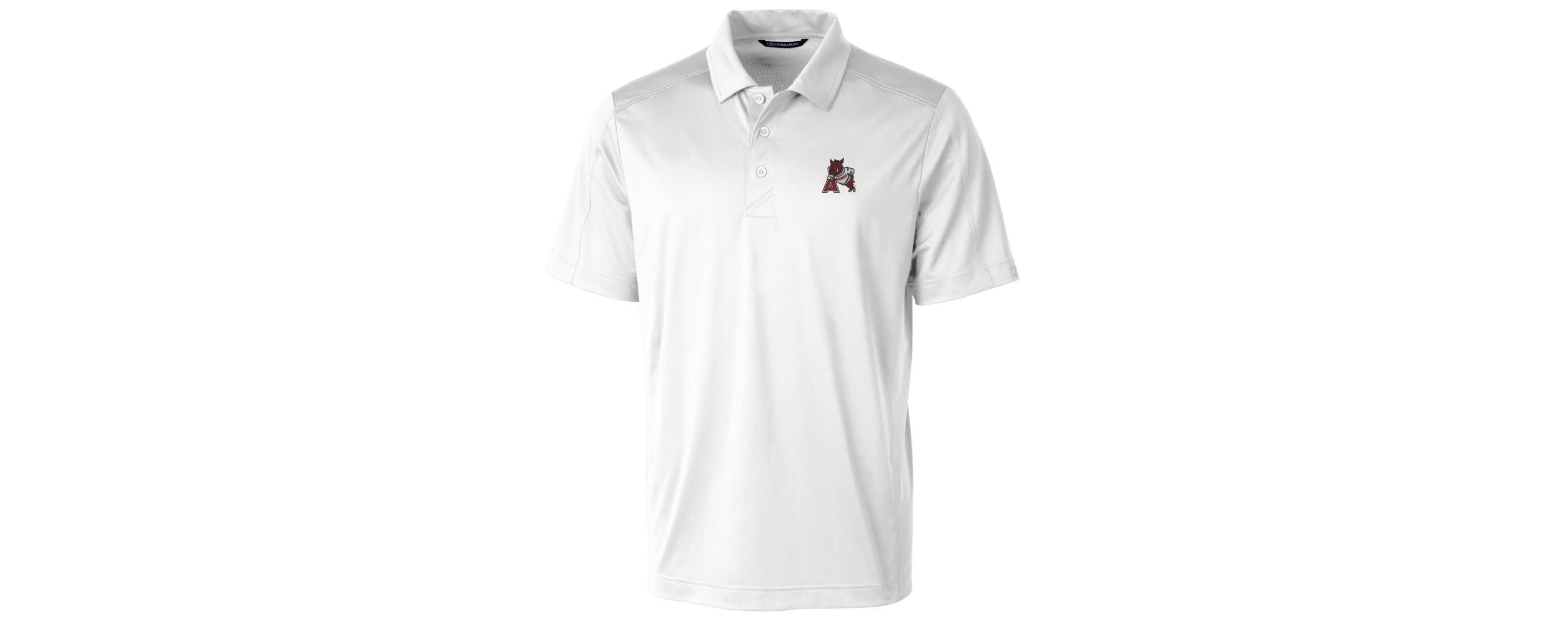 NCAA Arkansas Razorbacks Primary Team Logo Prospect Textured Stretch Polo