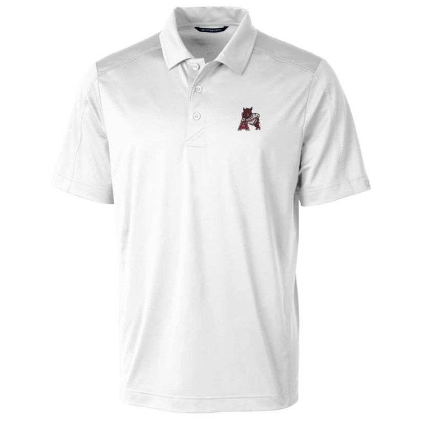 NCAA Arkansas Razorbacks Primary Team Logo Prospect Textured Stretch Polo